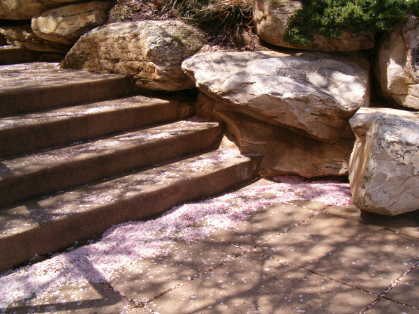 Our apartment building.