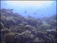 Curacao's landscape below the sea.